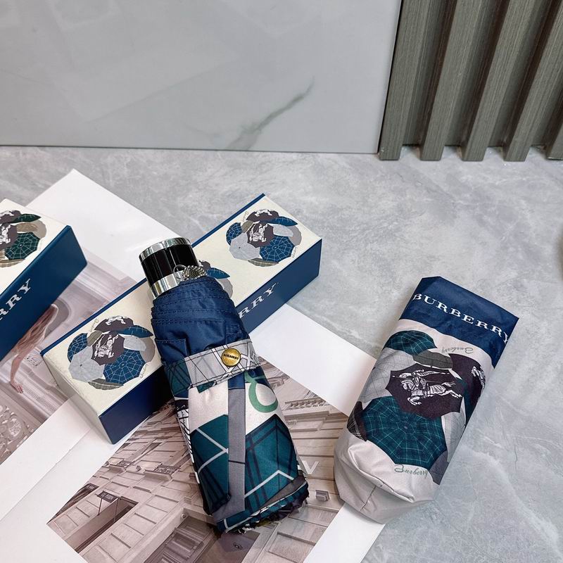 Burberry Umbrella (37)