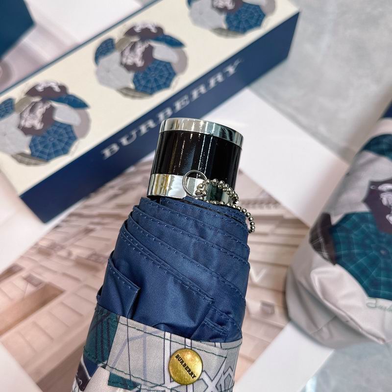 Burberry Umbrella (43)