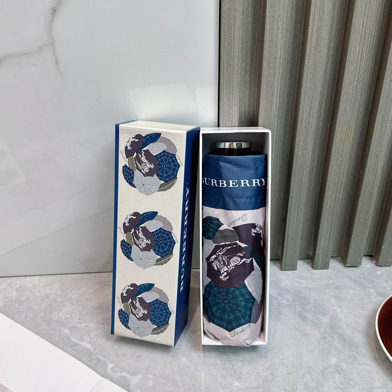 Burberry Umbrella (44)