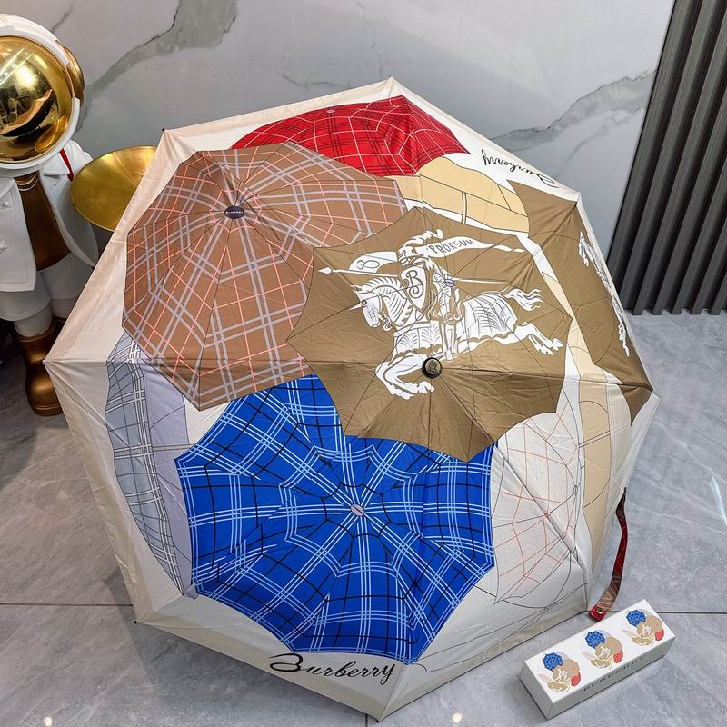 Burberry Umbrella (55)