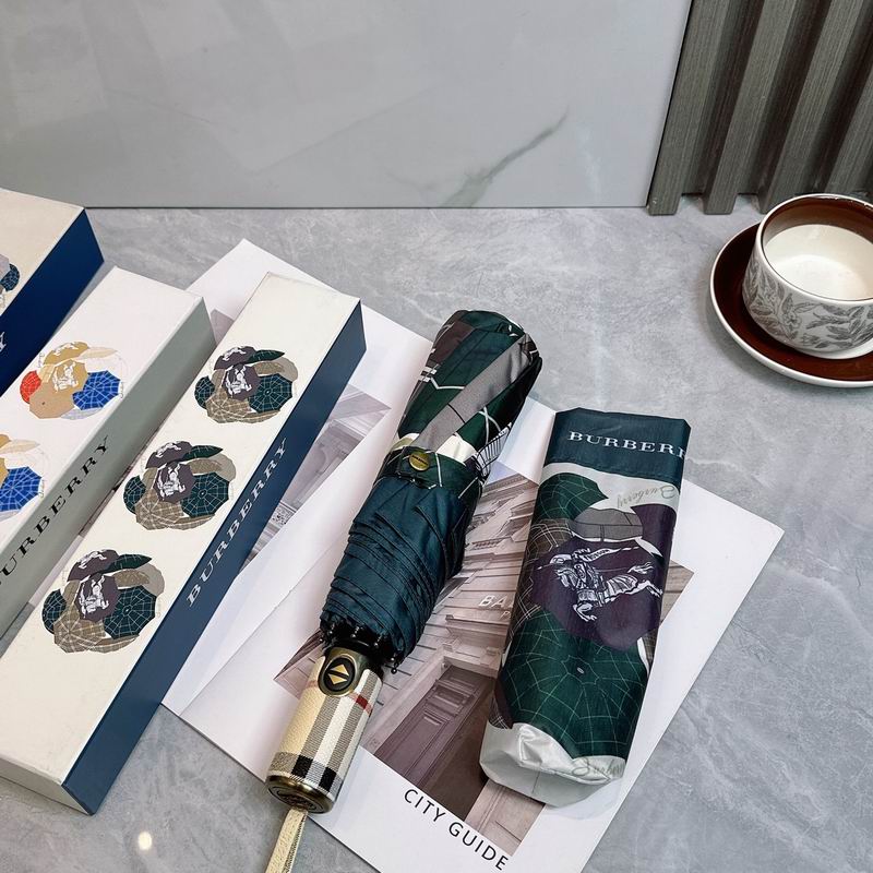 Burberry Umbrella (66)