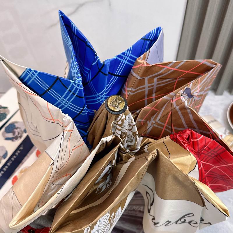 Burberry Umbrella (77)