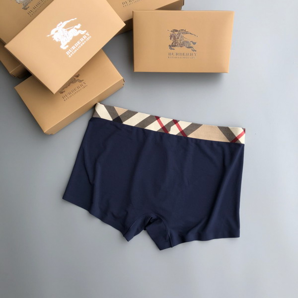 Burberry boxer L-3XL 13gx04 (3)