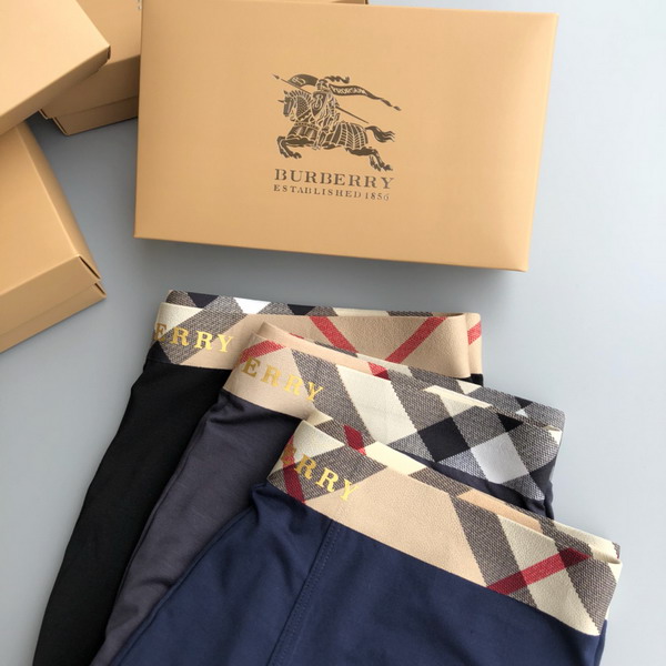 Burberry boxer L-3XL 13gx04 (4)