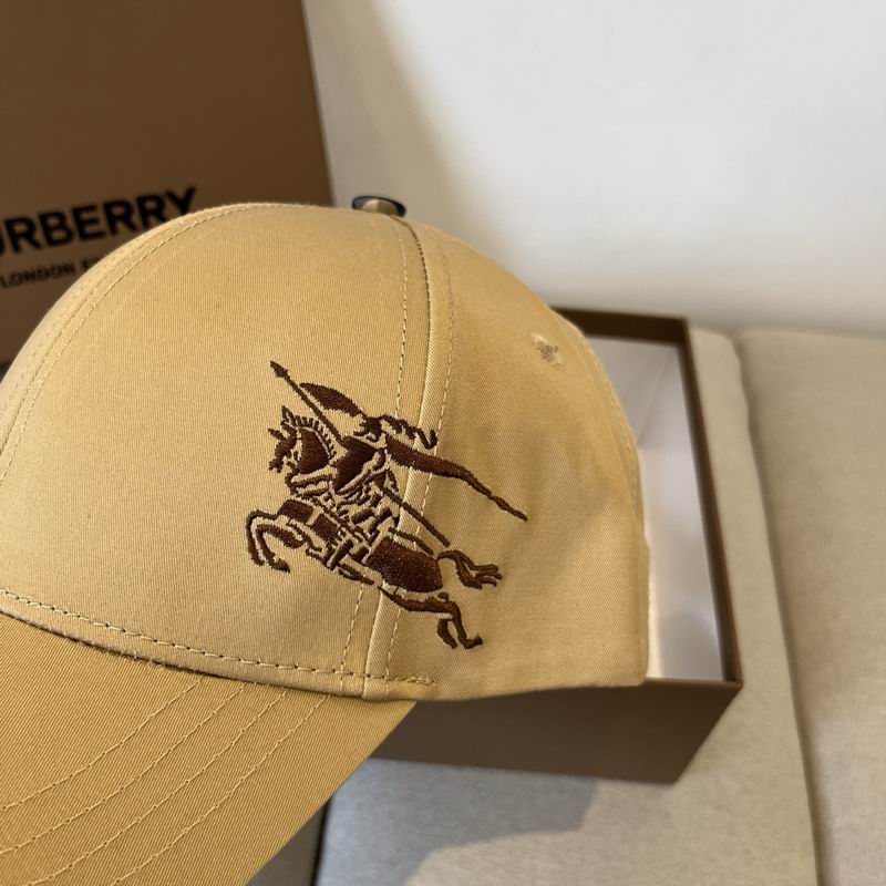 Burberry cap dx (43)