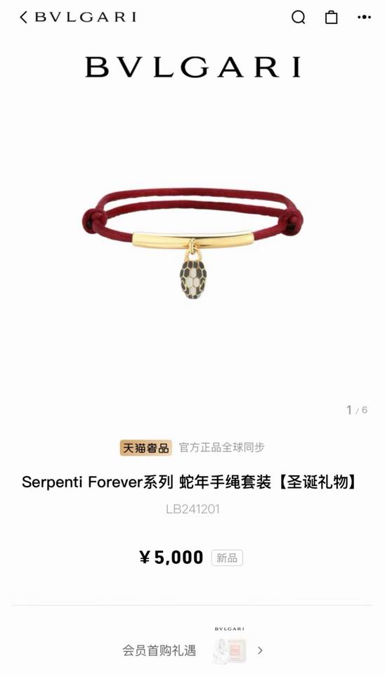 Bvlgari bracelet 01lyh111 (6)
