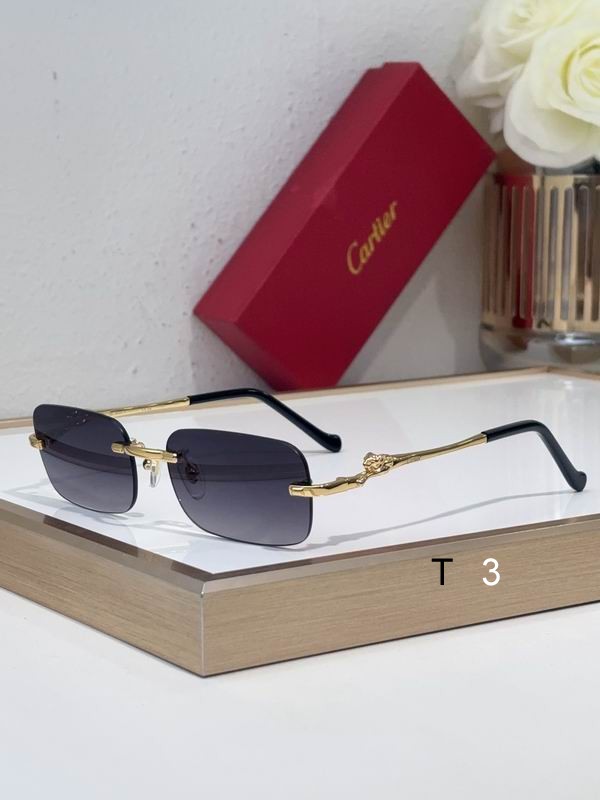 Cartier CT0281 55 18-140 C01