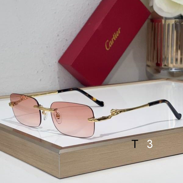 Cartier CT0281 55 18-140 C02