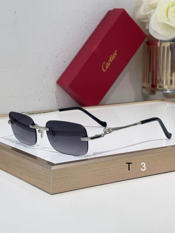 Cartier CT0281 55 18-140 C03