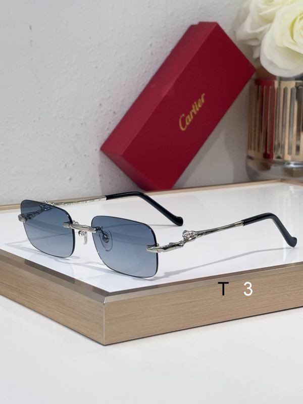 Cartier CT0281 55 18-140 C05