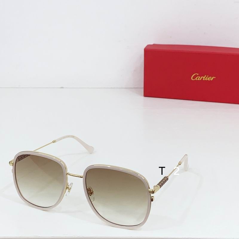 Cartier CT0382S 55 19-145 b01