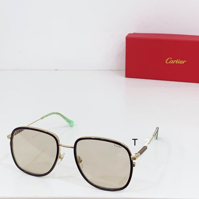Cartier CT0382S 55 19-145 b02