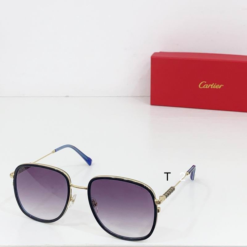 Cartier CT0382S 55 19-145 b03