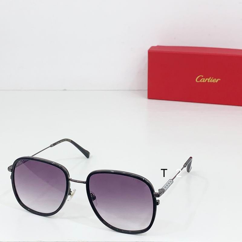 Cartier CT0382S 55 19-145 b04