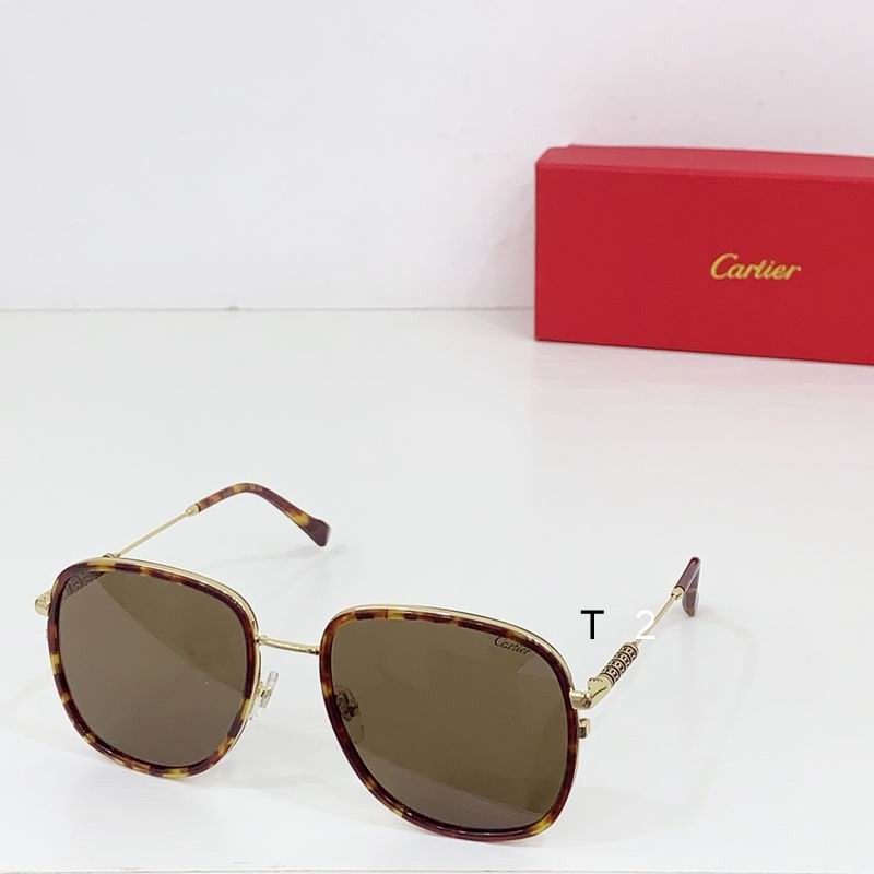 Cartier CT0382S 55 19-145 b05