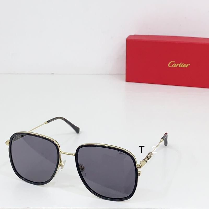 Cartier CT0382S 55 19-145 b06