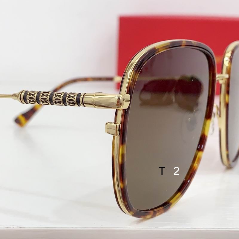 Cartier CT0382S 55 19-145 b07