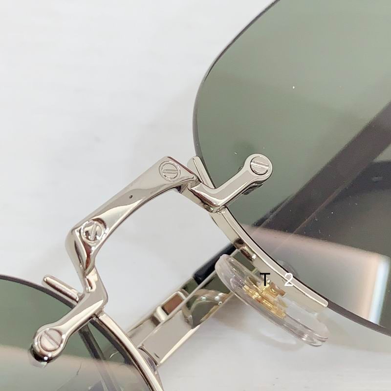 Cartier CT0459S 51 21-145 b07