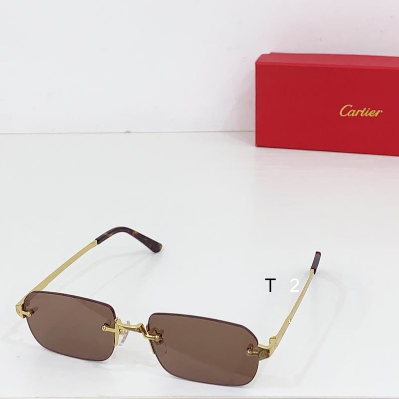 Cartier CT0460S 56 20-145 b02