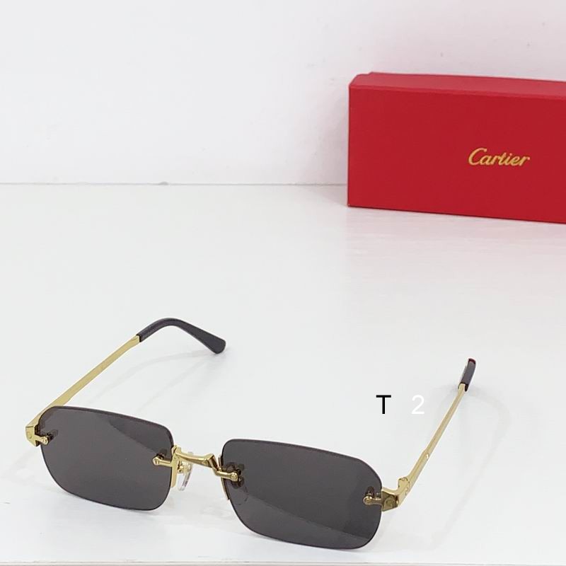 Cartier CT0460S 56 20-145 b03