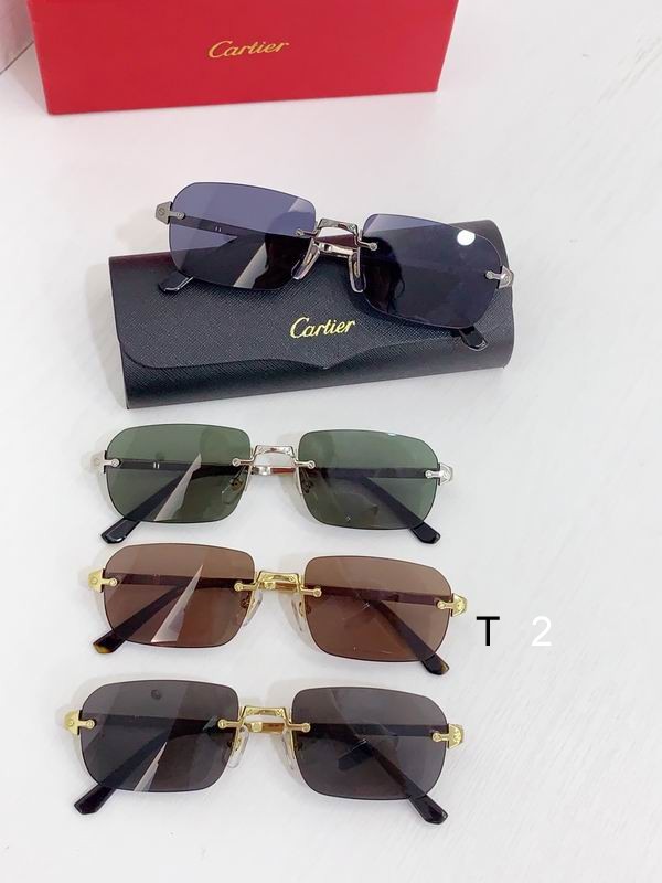 Cartier CT0460S 56 20-145 b08