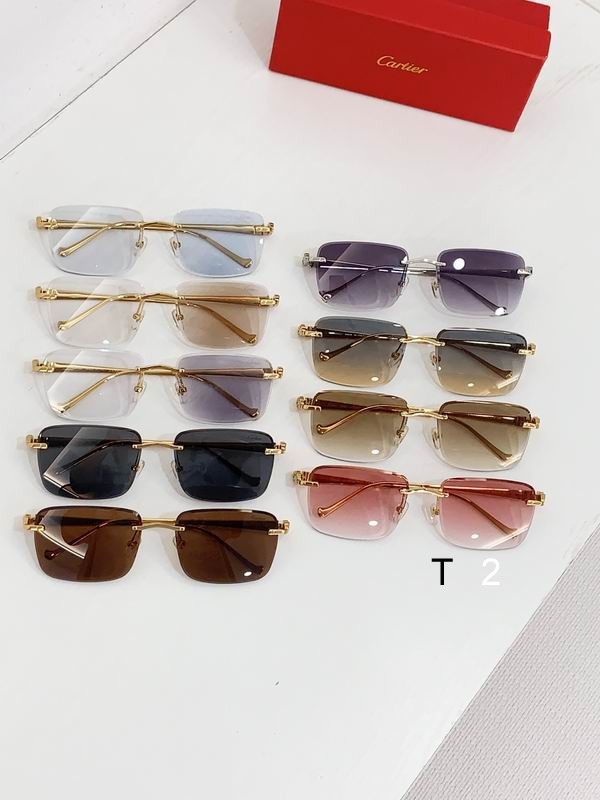 Cartier CT0479S 60-18-140 b09