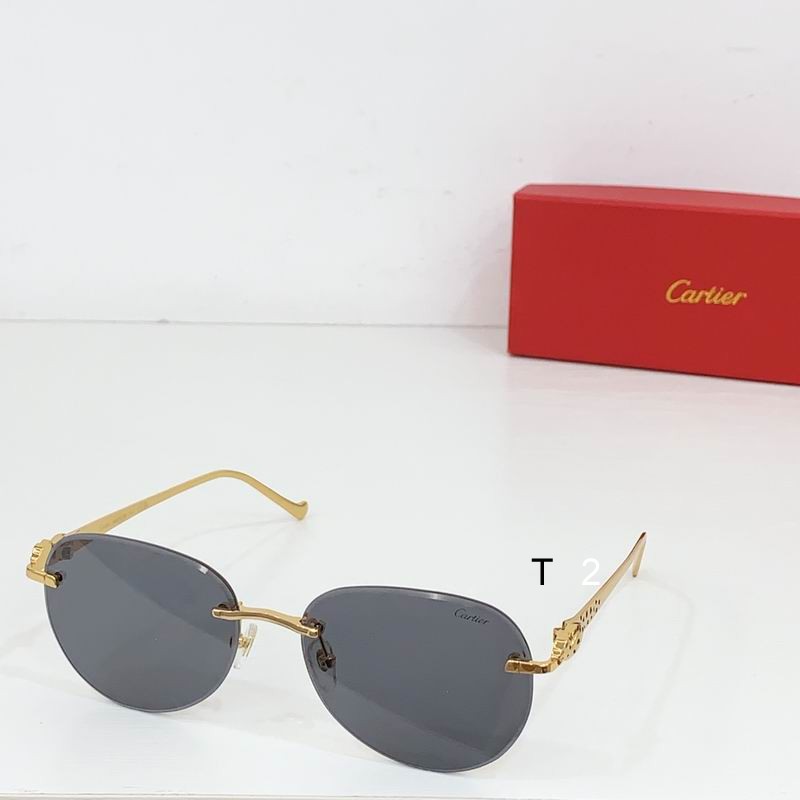 Cartier CT0480S 60-18-140 b06