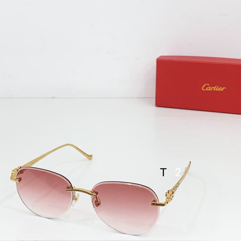 Cartier CT0480S 60-18-140 b08