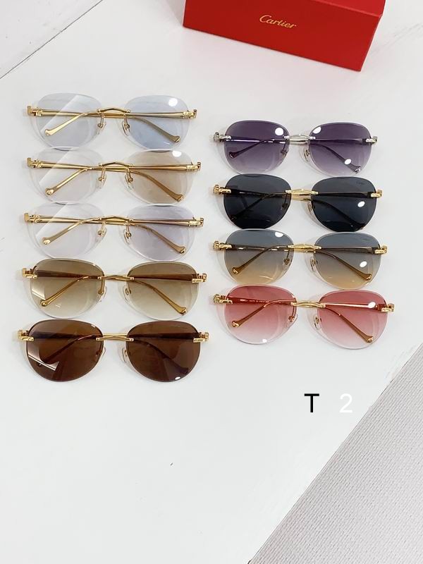 Cartier CT0480S 60-18-140 b09