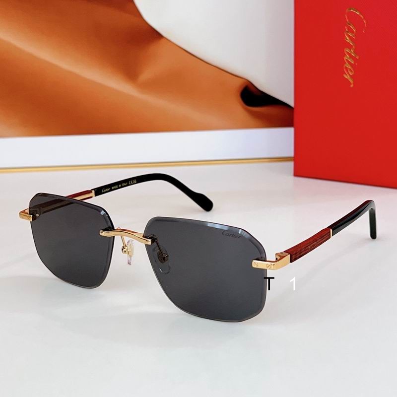 Cartier CT0481S 60 18-140 a01