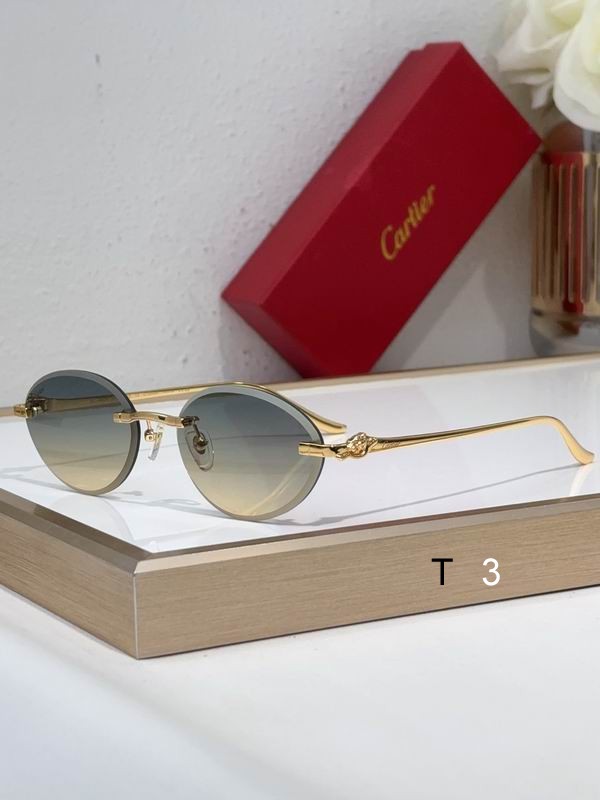 Cartier CT0504S 61 14-137 c01