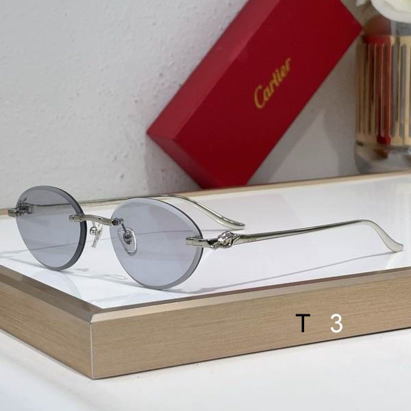 Cartier CT0504S 61 14-137 c02