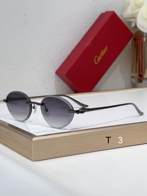 Cartier CT0504S 61 14-137 c03