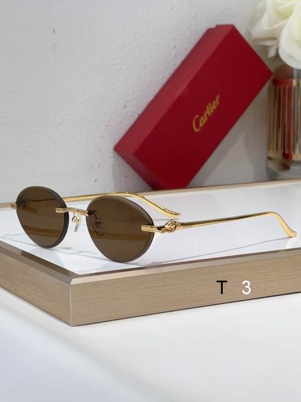 Cartier CT0504S 61 14-137 c04