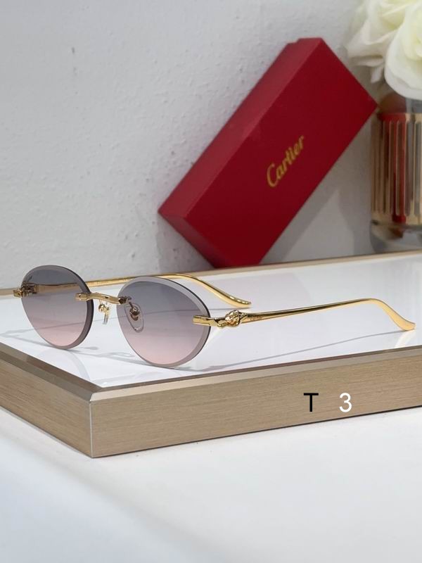 Cartier CT0504S 61 14-137 c06