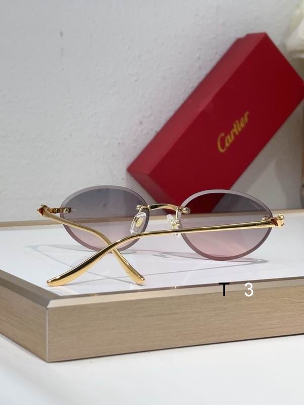 Cartier CT0504S 61 14-137 c07