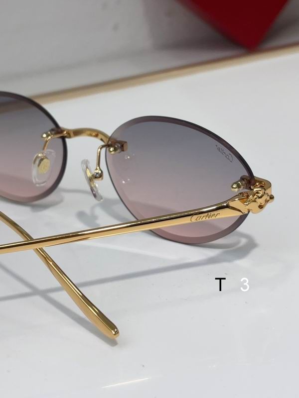 Cartier CT0504S 61 14-137 c08