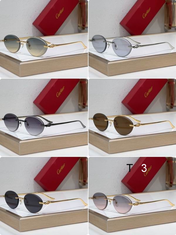 Cartier CT0504S 61 14-137 c09