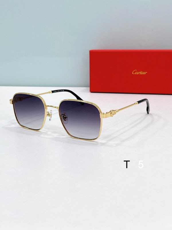 Cartier CT0534S 55 19-145 F01