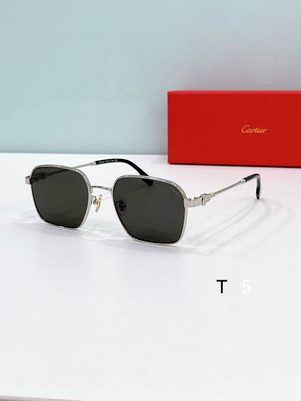 Cartier CT0534S 55 19-145 F04