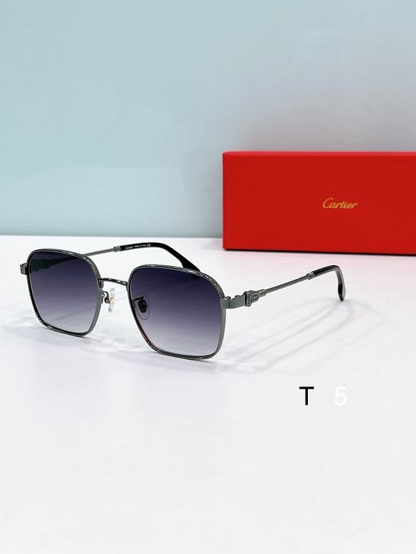 Cartier CT0534S 55 19-145 F05