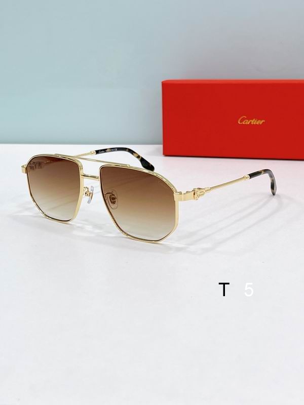 Cartier CT0535S 58 16-145 F01