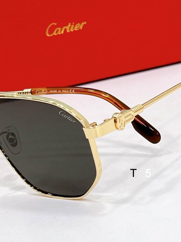 Cartier CT0535S 58 16-145 F07