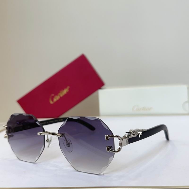 Cartier CT0558S 59 18-143 G06