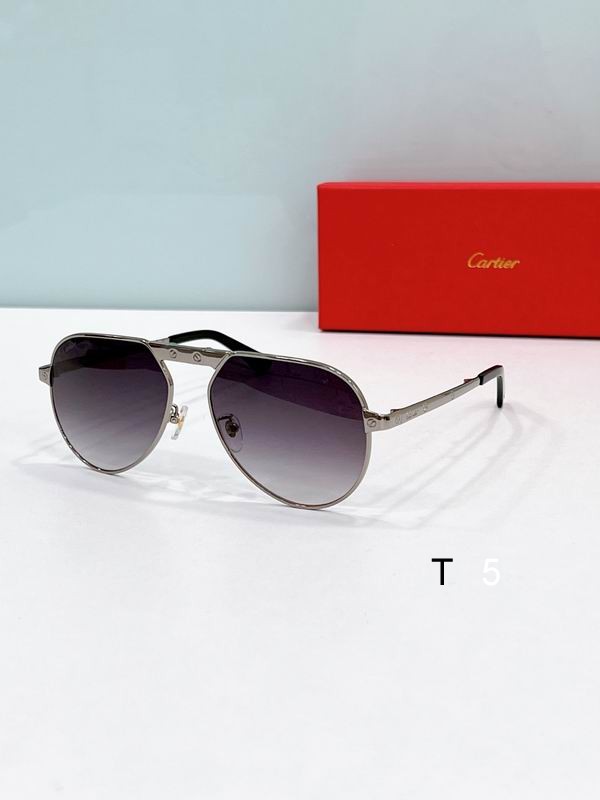 Cartier CT0568S 57 17-145 F02