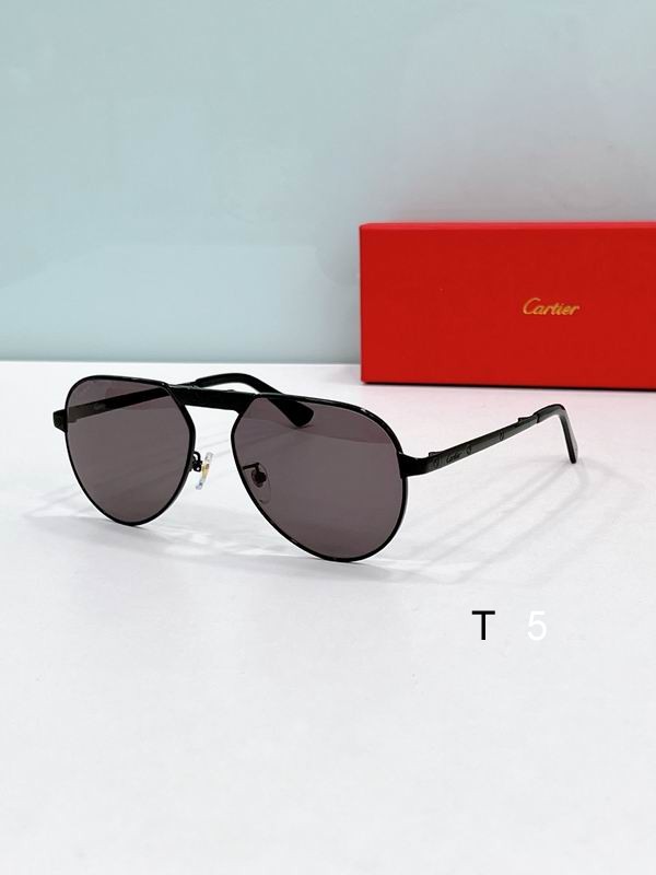 Cartier CT0568S 57 17-145 F06