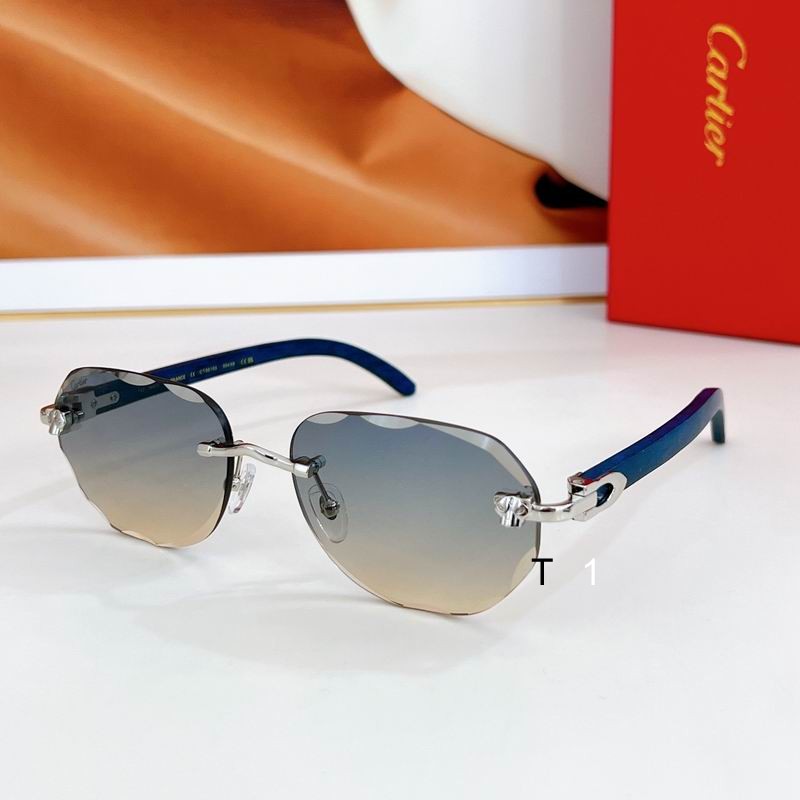 Cartier CT0610S 59 17 143 a05