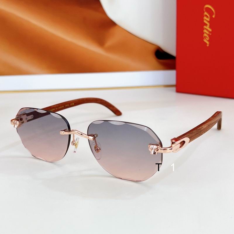 Cartier CT0610S 59 17 143 a07