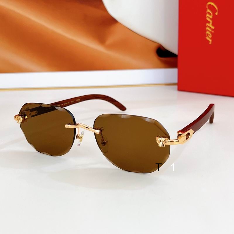 Cartier CT0610S 59 17 143 a08