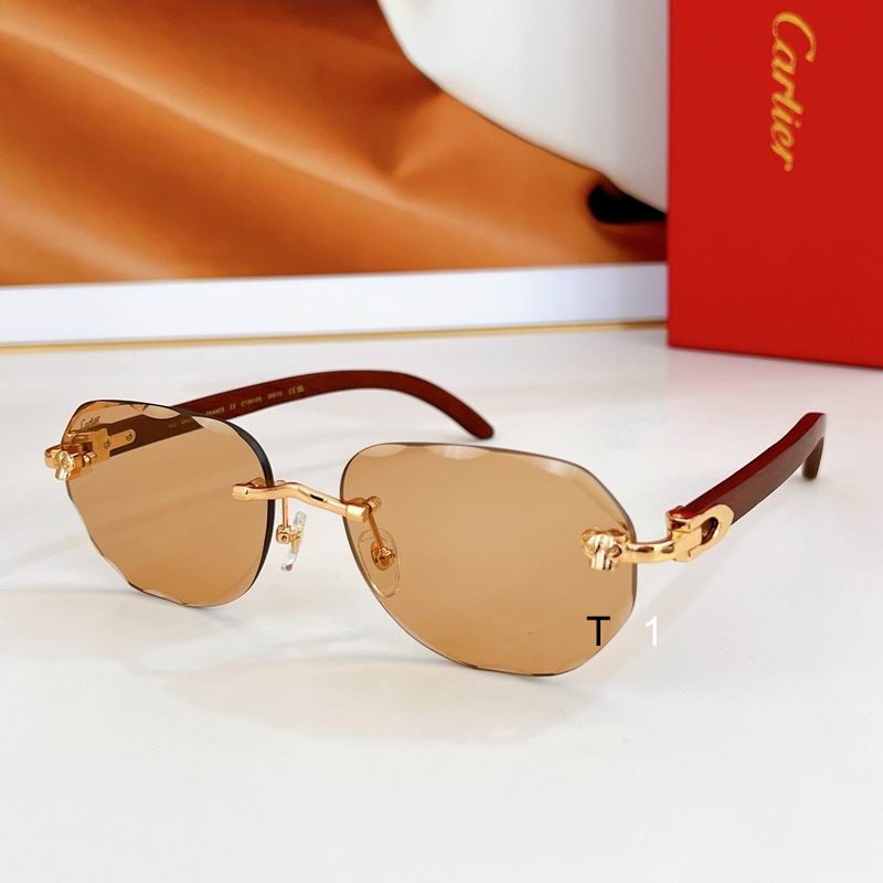 Cartier CT0610S 59 17 143 a09